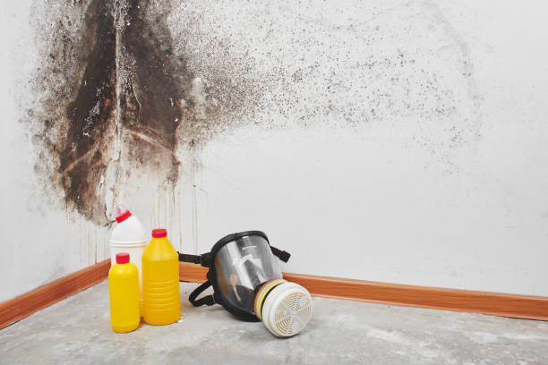 Sewage cleanup and water damage restoration